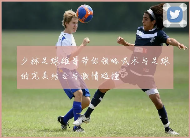 少林足球雄哥带你领略武术与足球的完美结合与激情碰撞