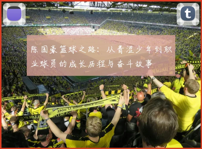 陈国豪篮球之路：从青涩少年到职业球员的成长历程与奋斗故事