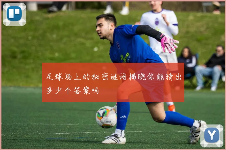 足球场上的秘密谜语揭晓你能猜出多少个答案吗