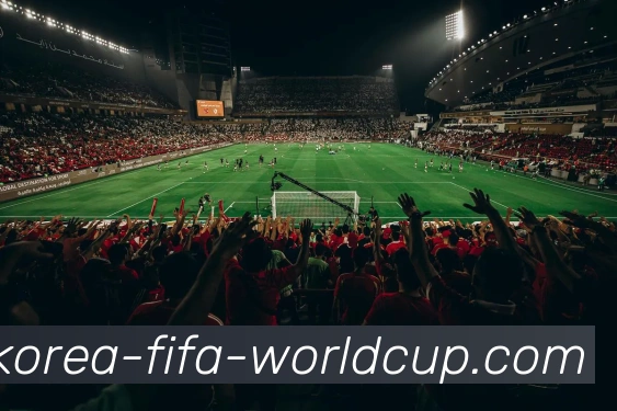 世界杯平台APP 封面图